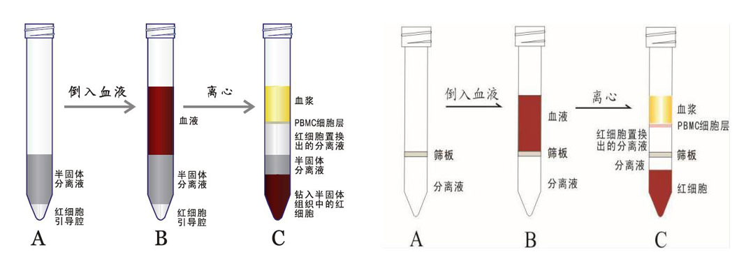 分离管合并.jpg